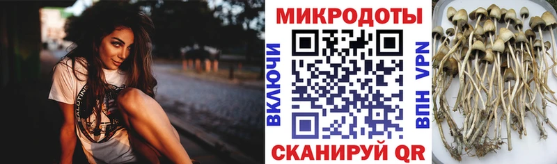 закладка  mega ссылки  Псилоцибиновые грибы GOLDEN TEACHER  Фурманов 